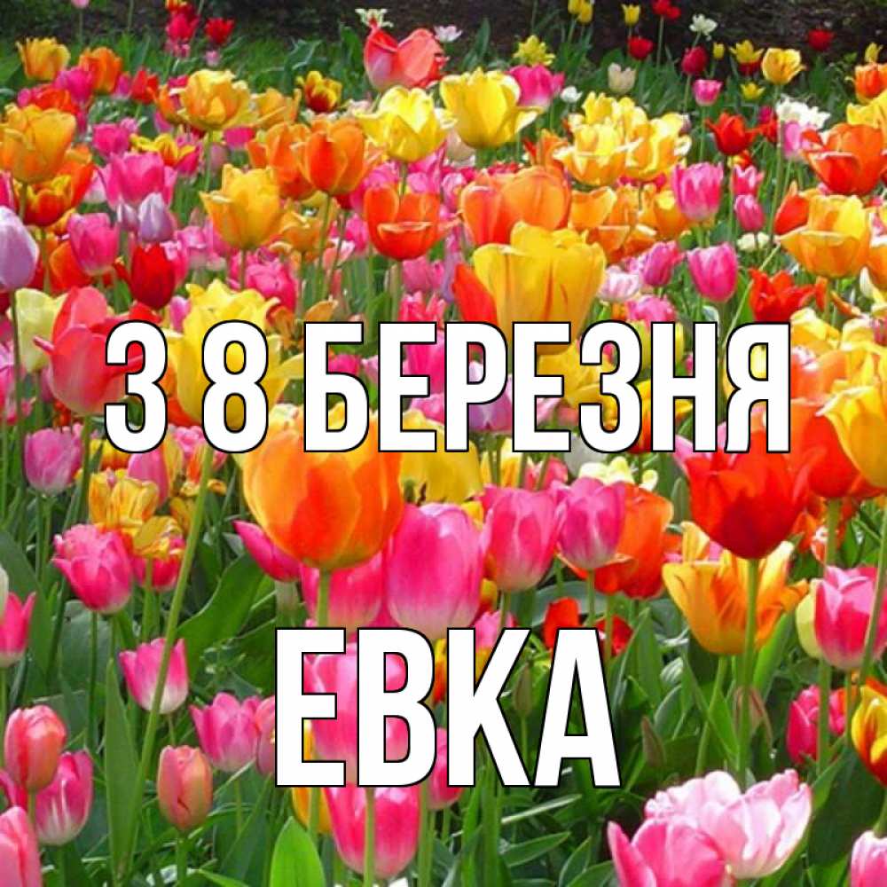 Открытка на каждый день з підписом, Евка З 8 БЕРЕЗНЯ на международный женский день Прикольна листівка з побажанням онлайн скачати безкоштовно 