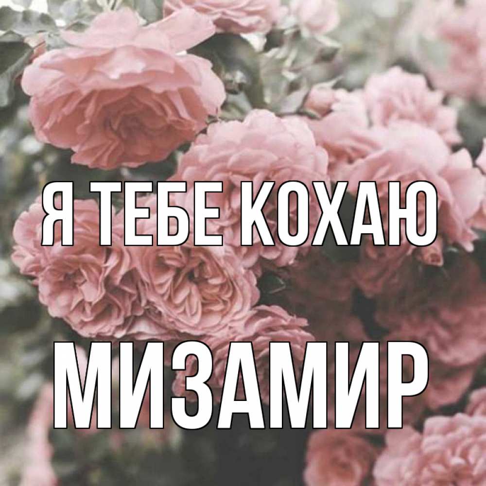 Открытка на каждый день з підписом, Мизамир Я тебе кохаю розы 3 Прикольна листівка з побажанням онлайн скачати безкоштовно 