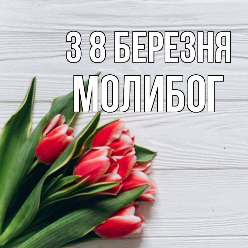 Открытка на каждый день з підписом, Молибог З 8 БЕРЕЗНЯ весна 2 Прикольна листівка з побажанням онлайн скачати безкоштовно 