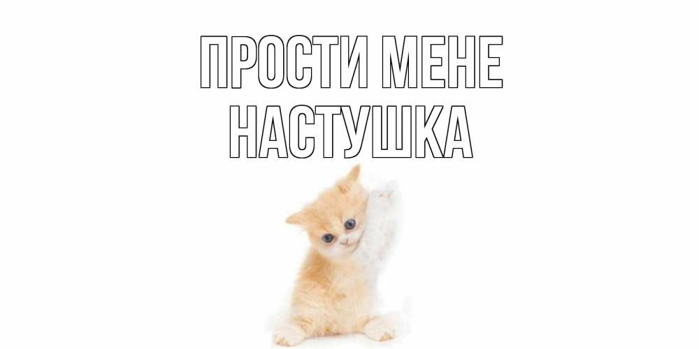 Открытка на каждый день з підписом, Настушка Прости мене кот Прикольна листівка з побажанням онлайн скачати безкоштовно 