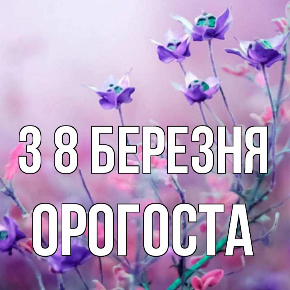 Открытка на каждый день з підписом, Орогоста З 8 БЕРЕЗНЯ международный женский день 2 Прикольна листівка з побажанням онлайн скачати безкоштовно 