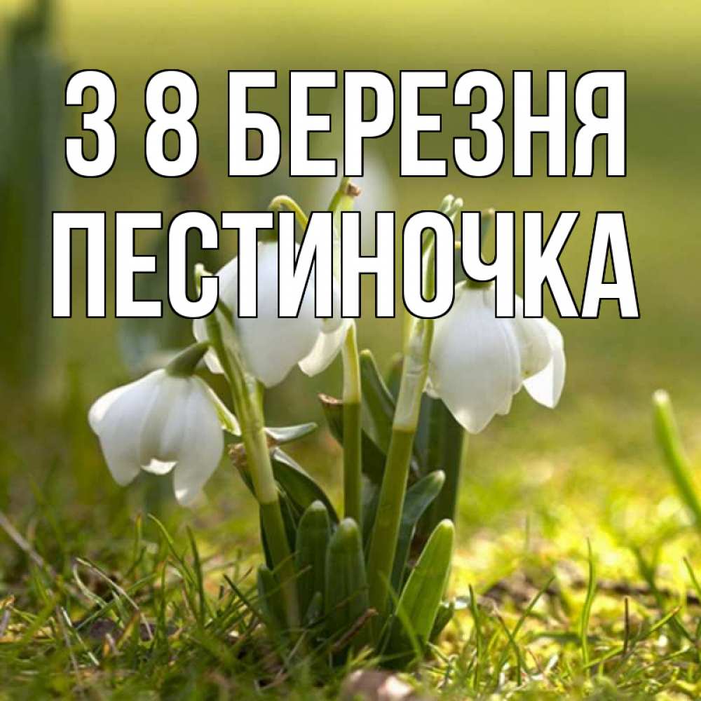 Открытка на каждый день з підписом, Пестиночка З 8 БЕРЕЗНЯ ранние цветы 2 Прикольна листівка з побажанням онлайн скачати безкоштовно 