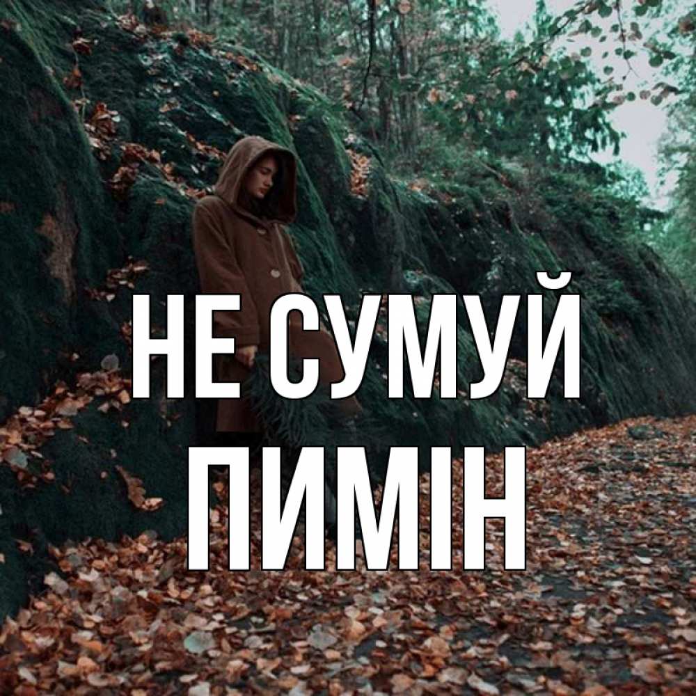 Открытка на каждый день з підписом, Пимін Не сумуй осенний лес Прикольна листівка з побажанням онлайн скачати безкоштовно 