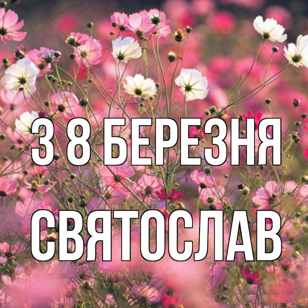 Открытка на каждый день з підписом, Святослав З 8 БЕРЕЗНЯ красиво 1 Прикольна листівка з побажанням онлайн скачати безкоштовно 