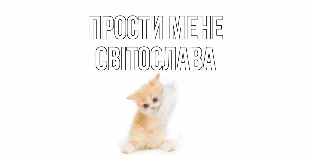 Открытка на каждый день з підписом, Світослава Прости мене кот Прикольна листівка з побажанням онлайн скачати безкоштовно 