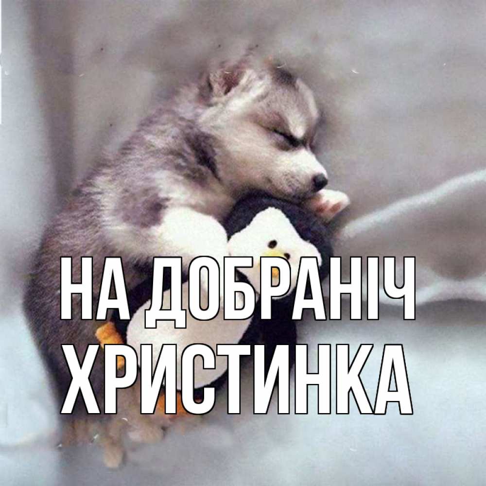 Открытка на каждый день з підписом, Христинка На добраніч обнимашки щенка и пингвина Прикольна листівка з побажанням онлайн скачати безкоштовно 