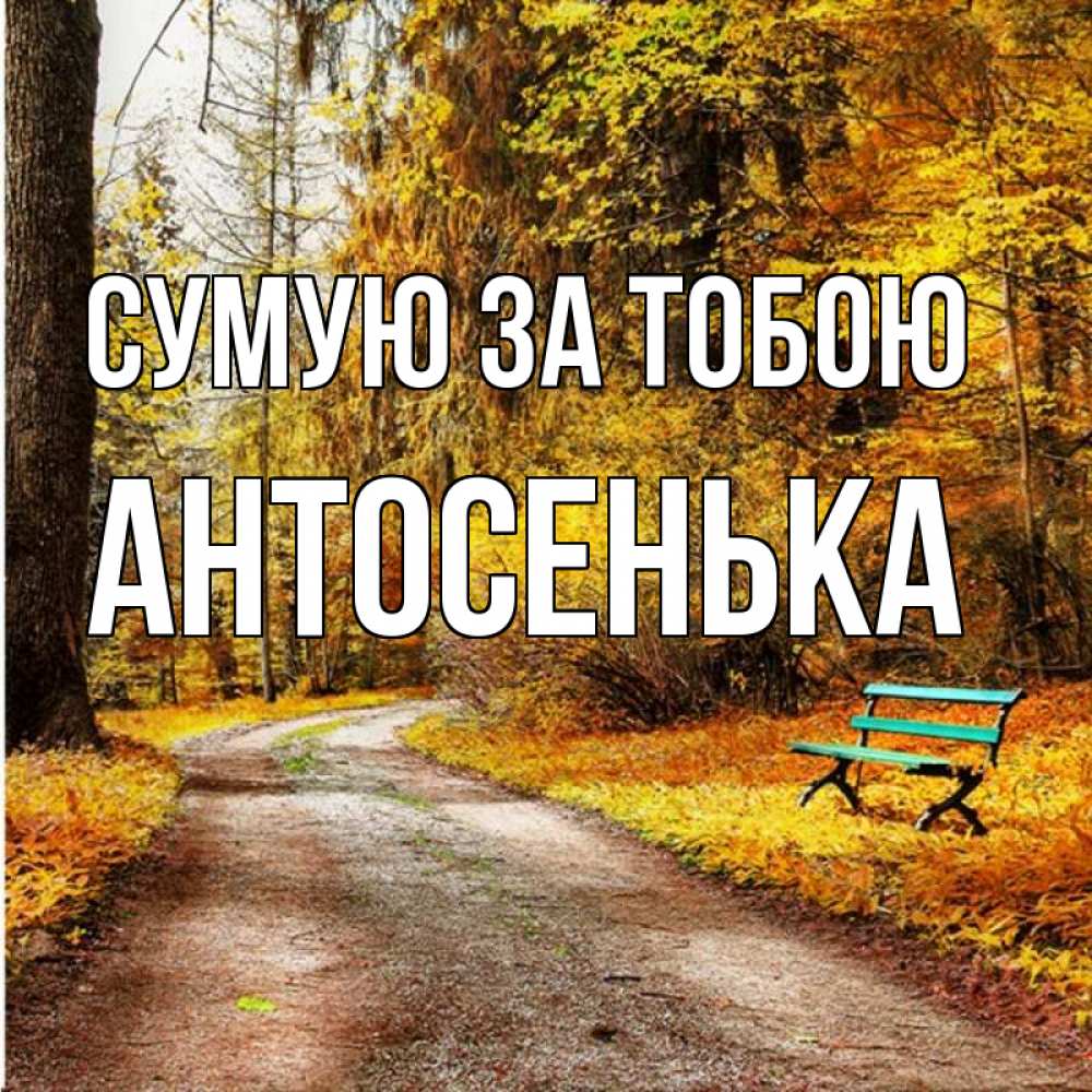Открытка на каждый день з підписом, Антосенька Сумую за тобою зеленая лавочка и осенний лес Прикольна листівка з побажанням онлайн скачати безкоштовно 