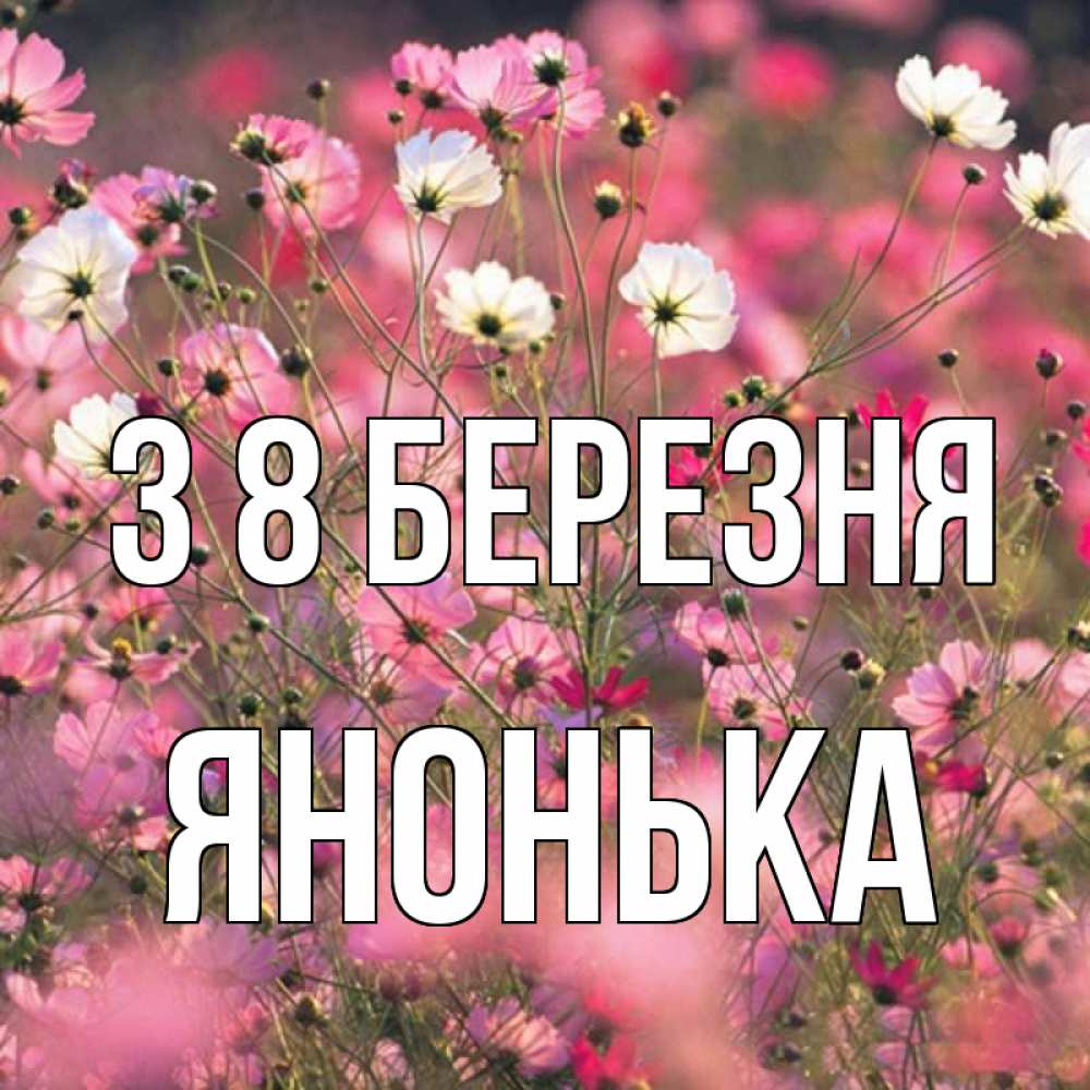 Открытка на каждый день з підписом, Янонька З 8 БЕРЕЗНЯ красиво 1 Прикольна листівка з побажанням онлайн скачати безкоштовно 