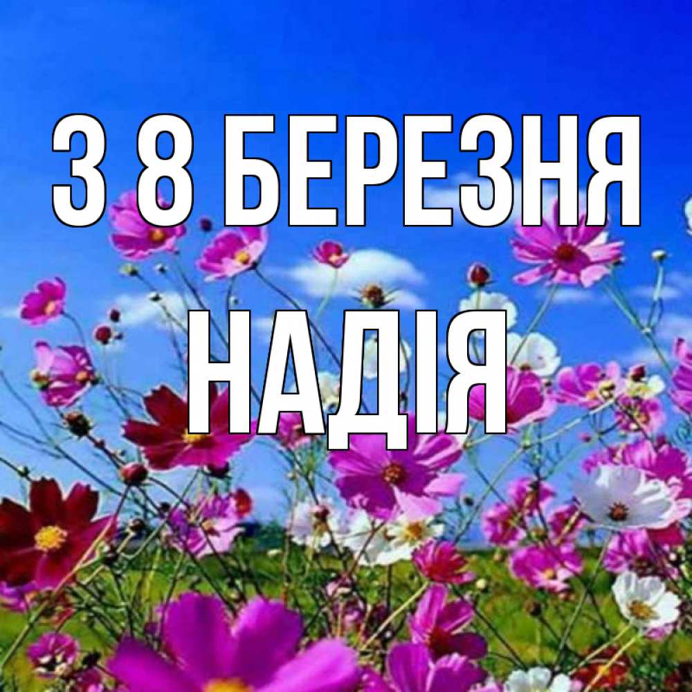 Открытка на каждый день з підписом, Надія З 8 БЕРЕЗНЯ цветы Прикольна листівка з побажанням онлайн скачати безкоштовно 