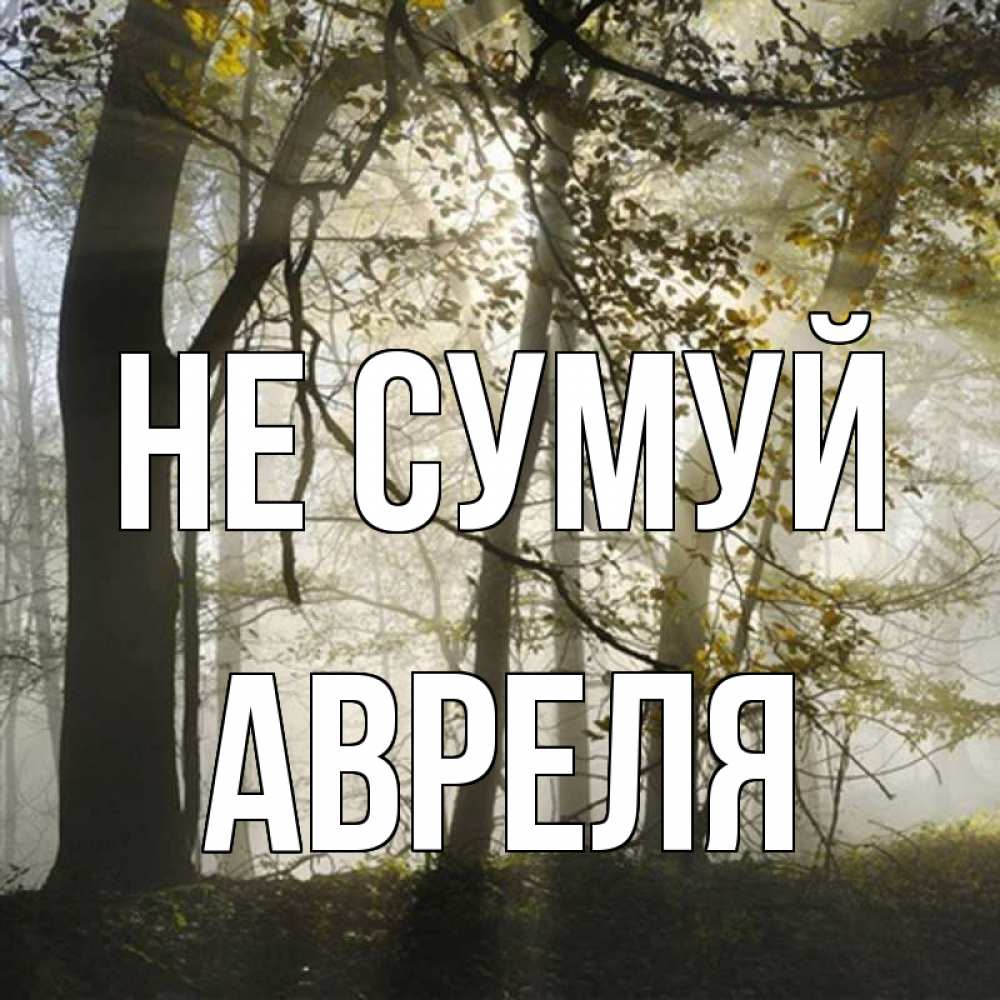 Открытка на каждый день з підписом, Авреля Не сумуй лес и свет Прикольна листівка з побажанням онлайн скачати безкоштовно 