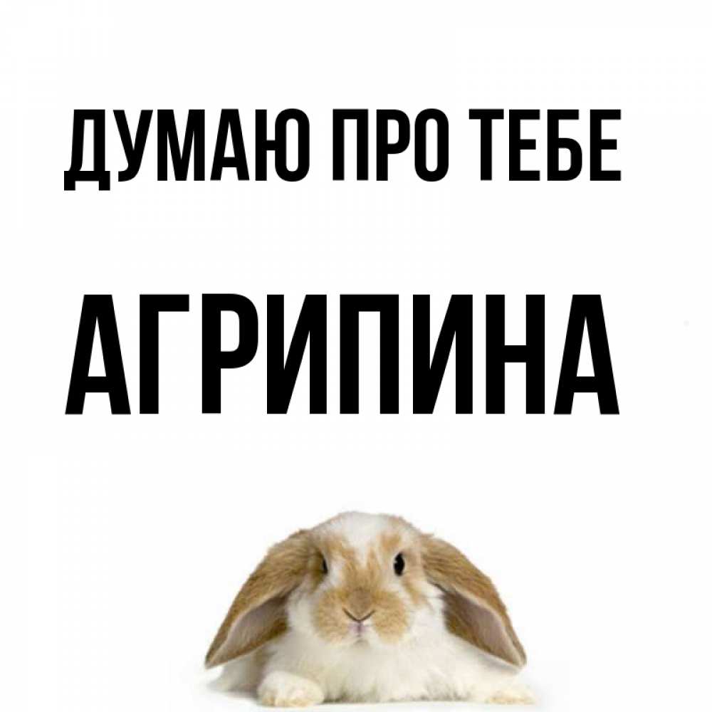 Открытка на каждый день з підписом, Агрипина Думаю про тебе подписать своими руками онлайн Прикольна листівка з побажанням онлайн скачати безкоштовно 