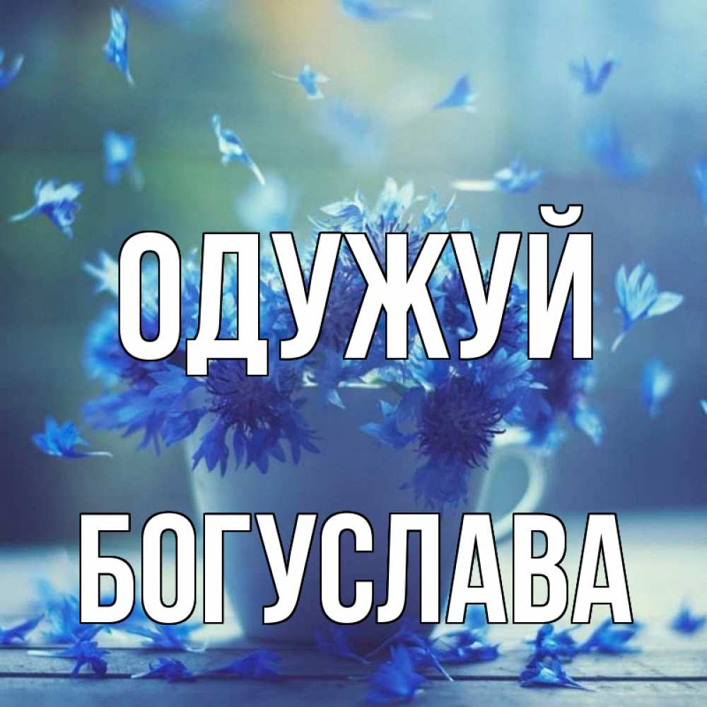 Открытка на каждый день з підписом, Богуслава Одужуй кружка с зельем и цветами Прикольна листівка з побажанням онлайн скачати безкоштовно 
