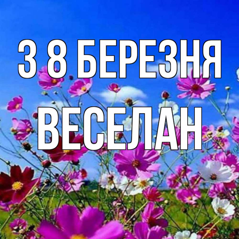 Открытка на каждый день з підписом, Веселан З 8 БЕРЕЗНЯ цветы Прикольна листівка з побажанням онлайн скачати безкоштовно 