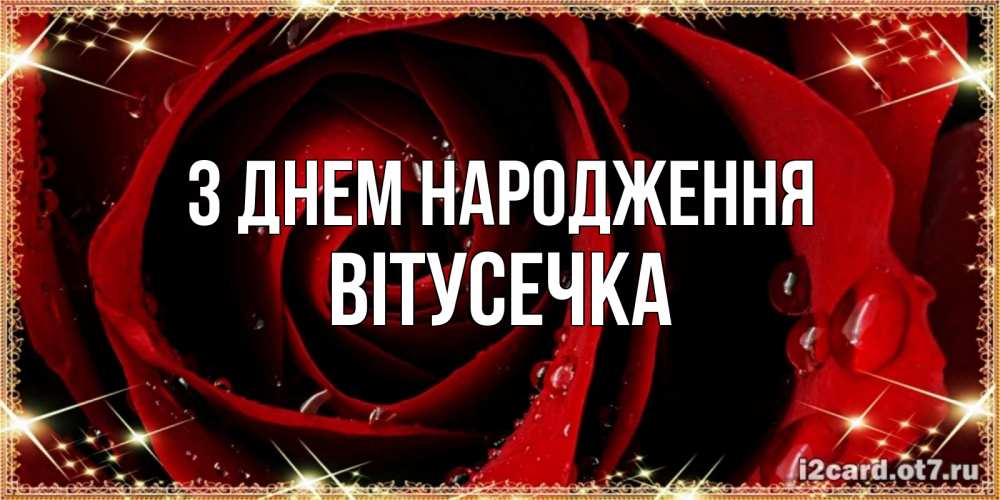 Открытка на каждый день з підписом, Вітусечка З Днем народження цветок в росе на день рождения Прикольна листівка з побажанням онлайн скачати безкоштовно 