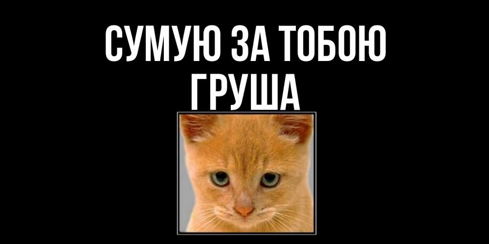 Открытка на каждый день з підписом, Груша Сумую за тобою открытки рыжий котенок скучает по тебе Прикольна листівка з побажанням онлайн скачати безкоштовно 