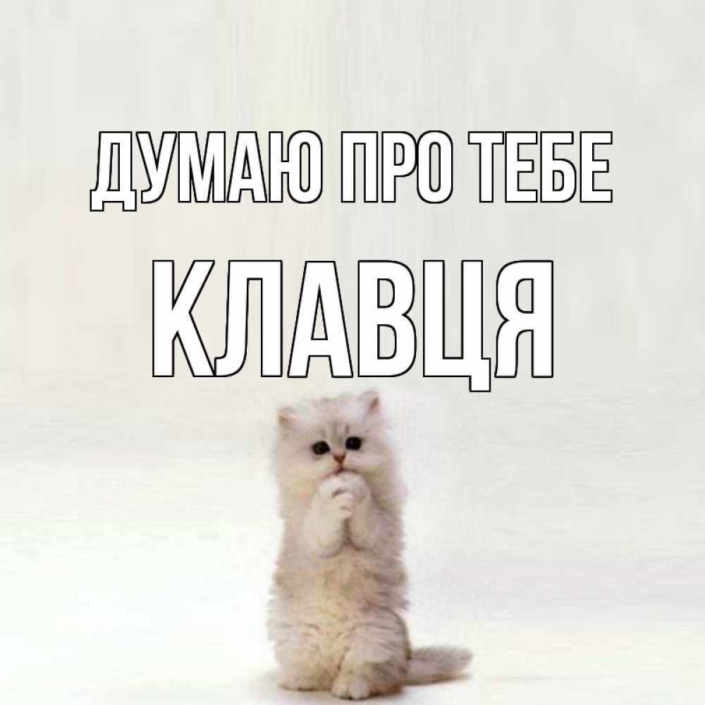 Открытка на каждый день з підписом, Клавця Думаю про тебе кот стоит на задних лапах Прикольна листівка з побажанням онлайн скачати безкоштовно 