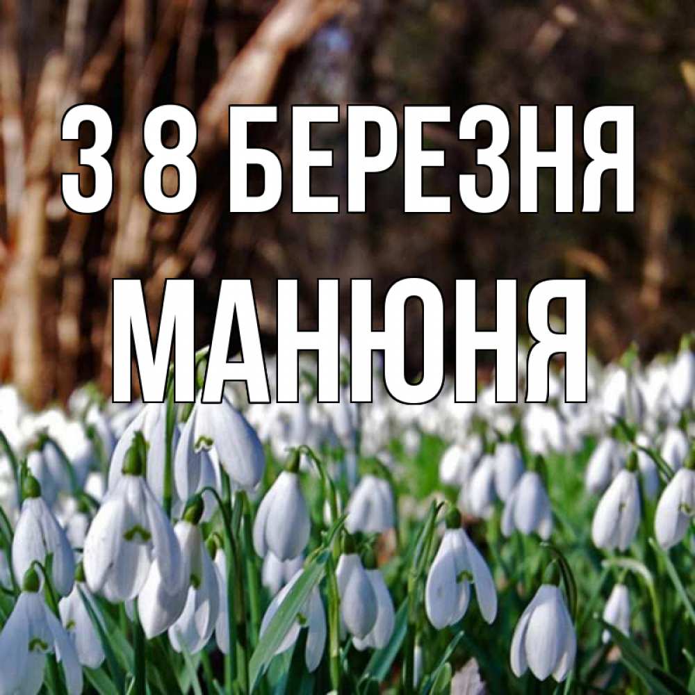 Открытка на каждый день з підписом, Манюня З 8 БЕРЕЗНЯ с подснежниками 1 Прикольна листівка з побажанням онлайн скачати безкоштовно 