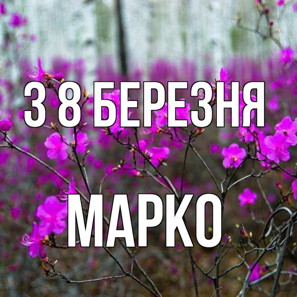 Открытка на каждый день з підписом, Марко З 8 БЕРЕЗНЯ дикие цветы Прикольна листівка з побажанням онлайн скачати безкоштовно 