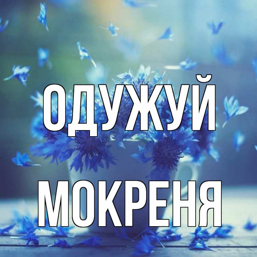 Открытка на каждый день з підписом, Мокреня Одужуй кружка с зельем и цветами Прикольна листівка з побажанням онлайн скачати безкоштовно 