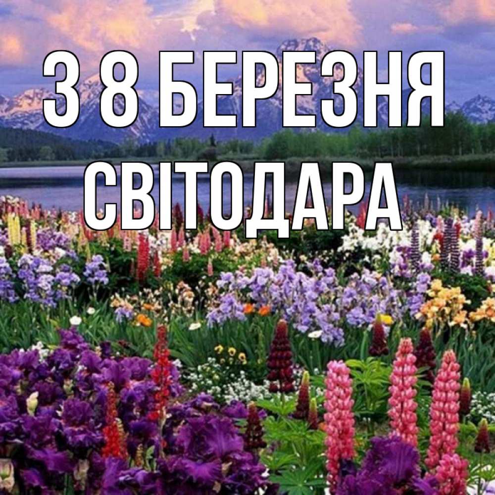 Открытка на каждый день з підписом, Світодара З 8 БЕРЕЗНЯ международный женский день Прикольна листівка з побажанням онлайн скачати безкоштовно 