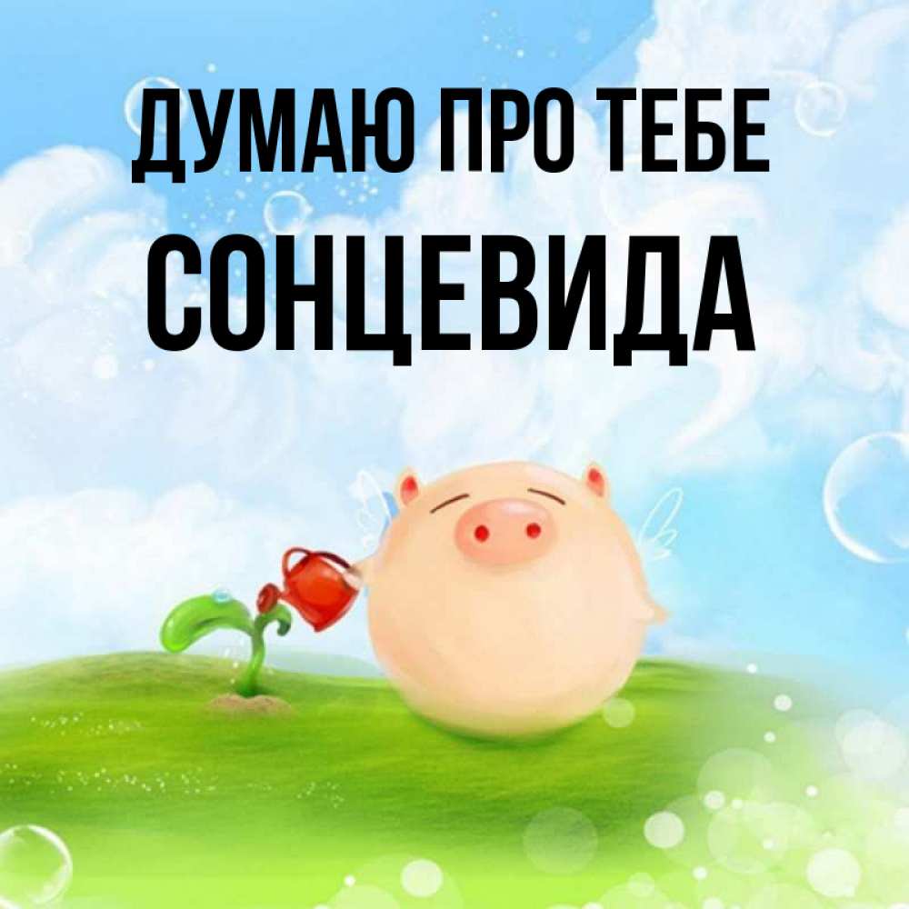 Открытка на каждый день з підписом, Сонцевида Думаю про тебе позитивная свинюшка Прикольна листівка з побажанням онлайн скачати безкоштовно 