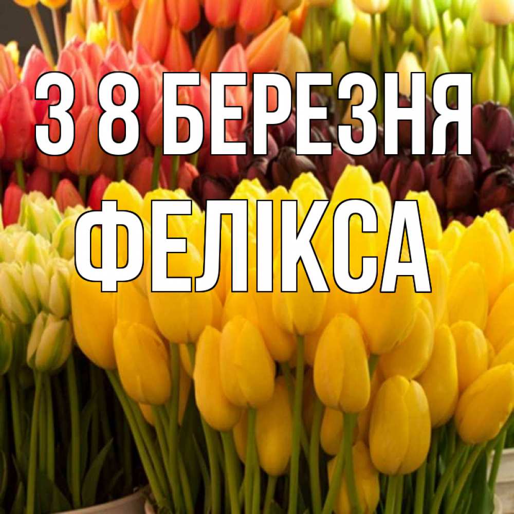 Открытка на каждый день з підписом, Фелікса З 8 БЕРЕЗНЯ цветы Прикольна листівка з побажанням онлайн скачати безкоштовно 