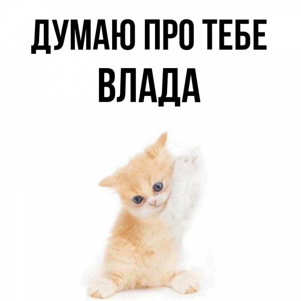 Открытка на каждый день з підписом, Влада Думаю про тебе зверушки и милота Прикольна листівка з побажанням онлайн скачати безкоштовно 