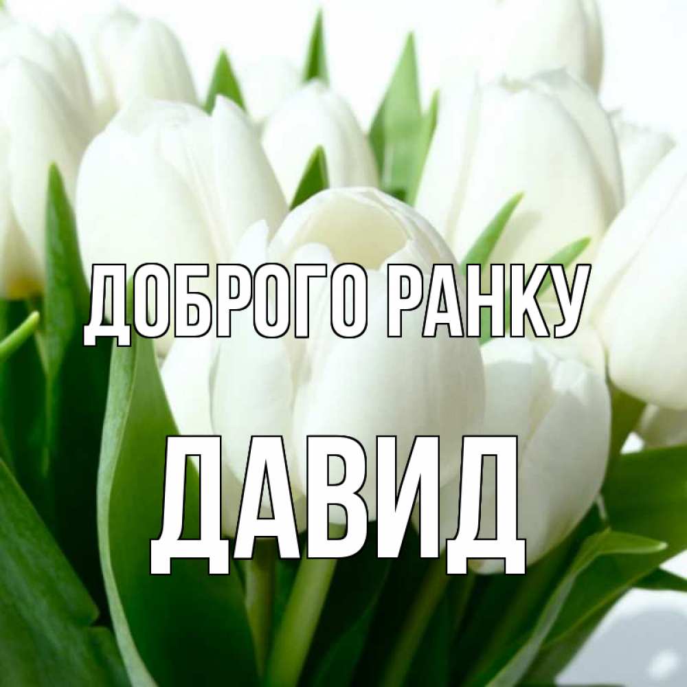 Открытка на каждый день з підписом, Давид Доброго ранку открытки на каждый день по именам Прикольна листівка з побажанням онлайн скачати безкоштовно 