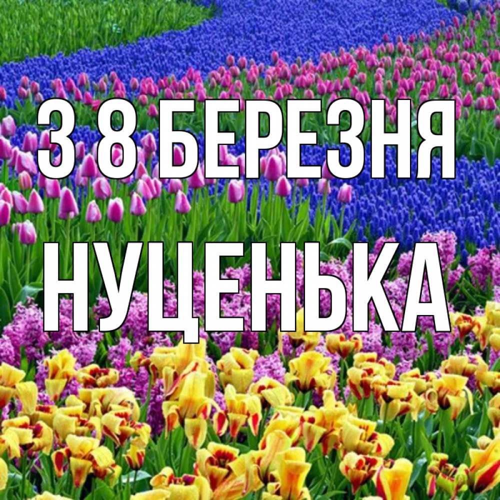 Открытка на каждый день з підписом, Нуценька З 8 БЕРЕЗНЯ цветы Прикольна листівка з побажанням онлайн скачати безкоштовно 