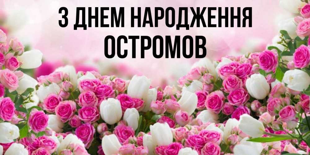 Открытка на каждый день з підписом, Остромов З Днем народження открытка с разными розами Прикольна листівка з побажанням онлайн скачати безкоштовно 