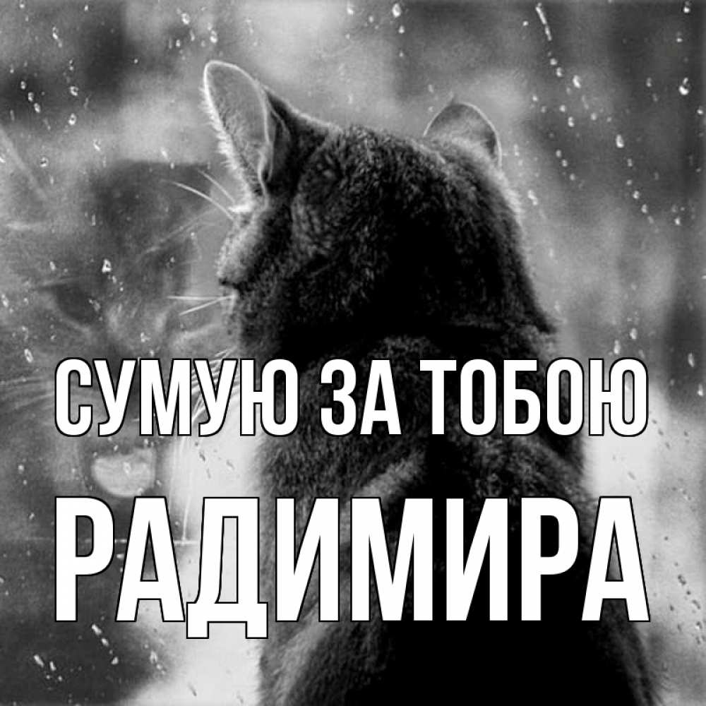 Открытка на каждый день з підписом, Радимира Сумую за тобою скорее ко мне приходи 1 Прикольна листівка з побажанням онлайн скачати безкоштовно 