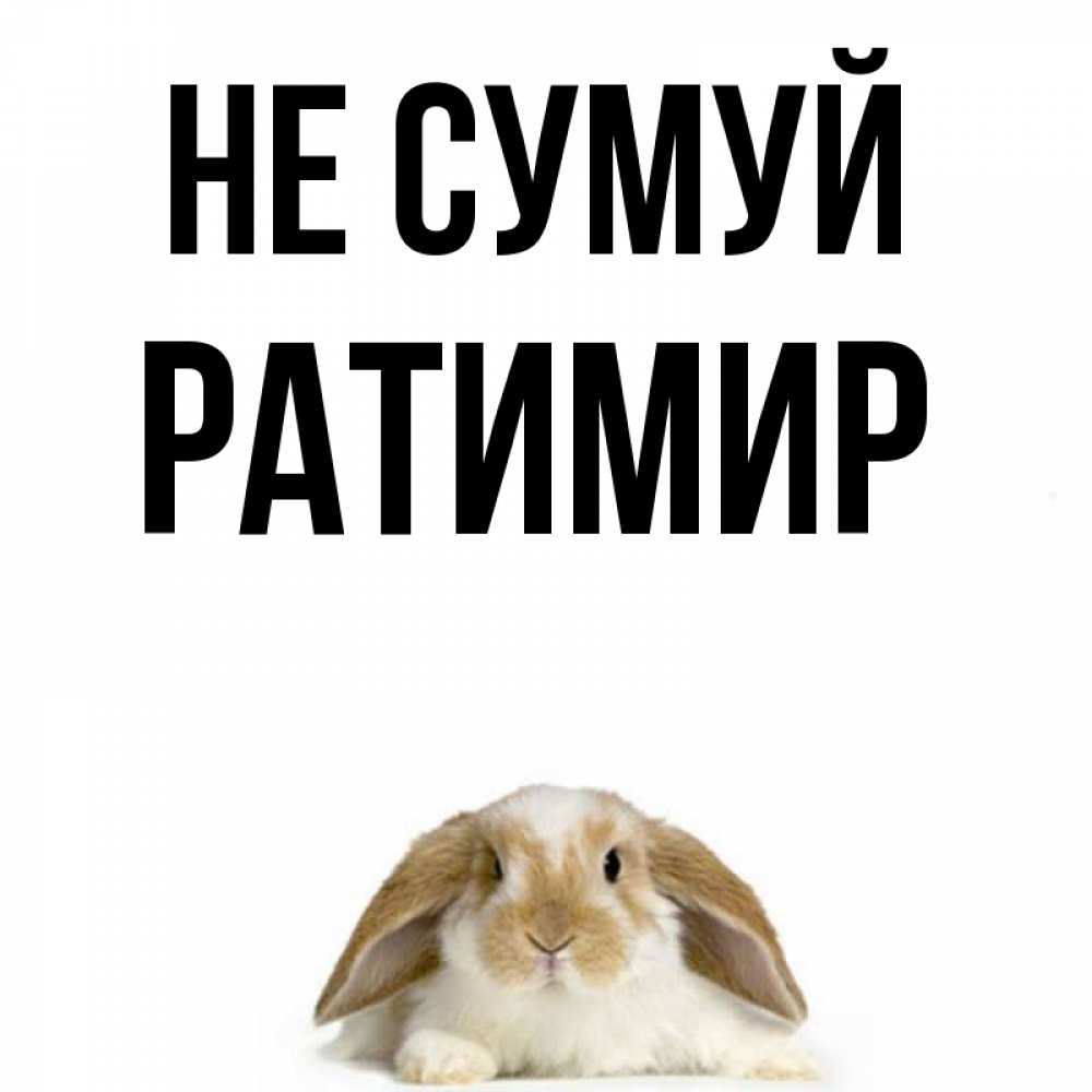 Открытка на каждый день з підписом, Ратимир Не сумуй коричнево белый заяц с большими ушками Прикольна листівка з побажанням онлайн скачати безкоштовно 