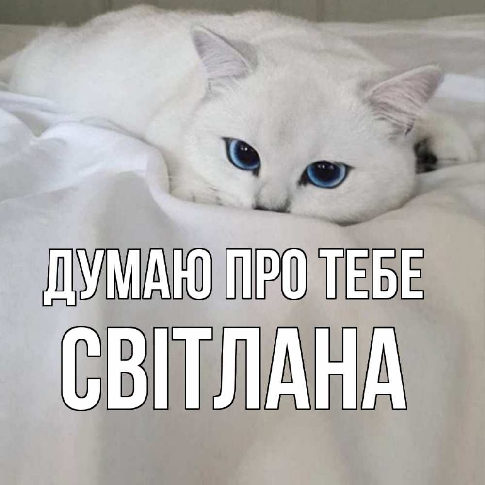 Открытка на каждый день з підписом, Світлана Думаю про тебе я очень по тебе скучаю и тоскую Прикольна листівка з побажанням онлайн скачати безкоштовно 