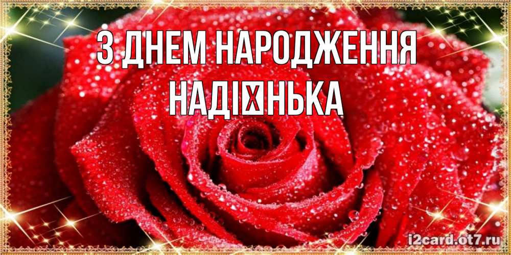 Открытка на каждый день з підписом, Надієнька З Днем народження роса и роза. открытка с красивой розой Прикольна листівка з побажанням онлайн скачати безкоштовно 