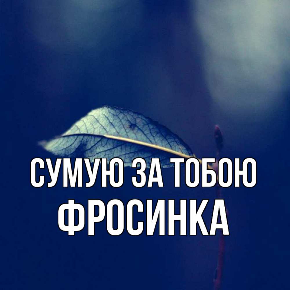 Открытка на каждый день з підписом, Фросинка Сумую за тобою одна ветка 1 Прикольна листівка з побажанням онлайн скачати безкоштовно 