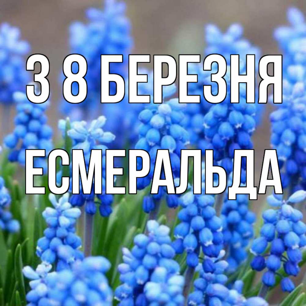 Открытка на каждый день з підписом, Есмеральда З 8 БЕРЕЗНЯ Поздравительная открытка для женщин с цветами на праздничную дату Прикольна листівка з побажанням онлайн скачати безкоштовно 