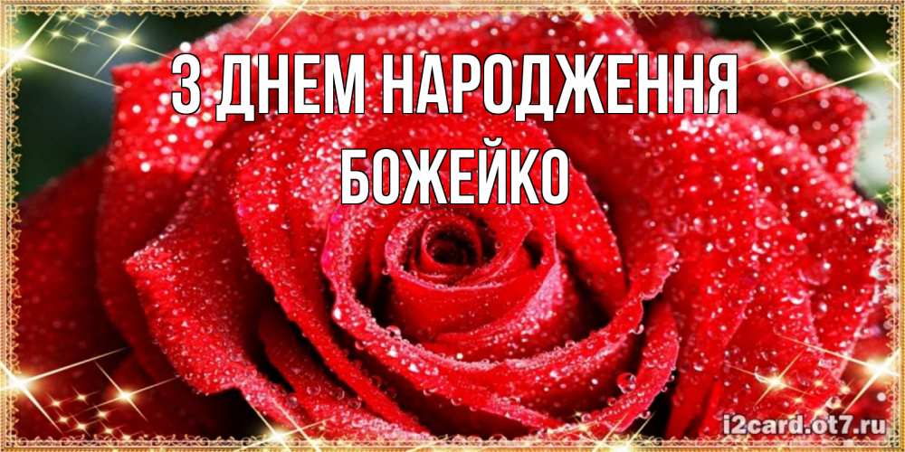 Открытка на каждый день з підписом, Божейко З Днем народження роса и роза. открытка с красивой розой Прикольна листівка з побажанням онлайн скачати безкоштовно 