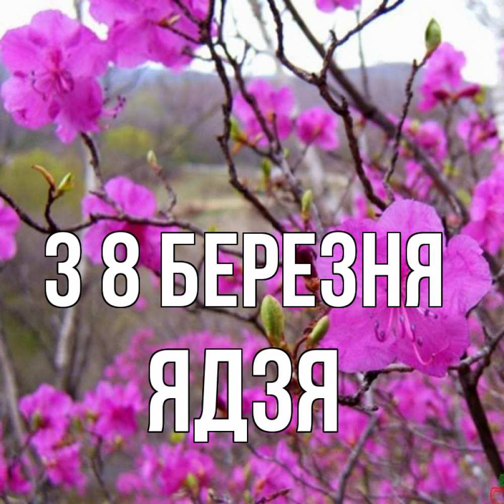 Открытка на каждый день з підписом, Ядзя З 8 БЕРЕЗНЯ международный женский день Прикольна листівка з побажанням онлайн скачати безкоштовно 