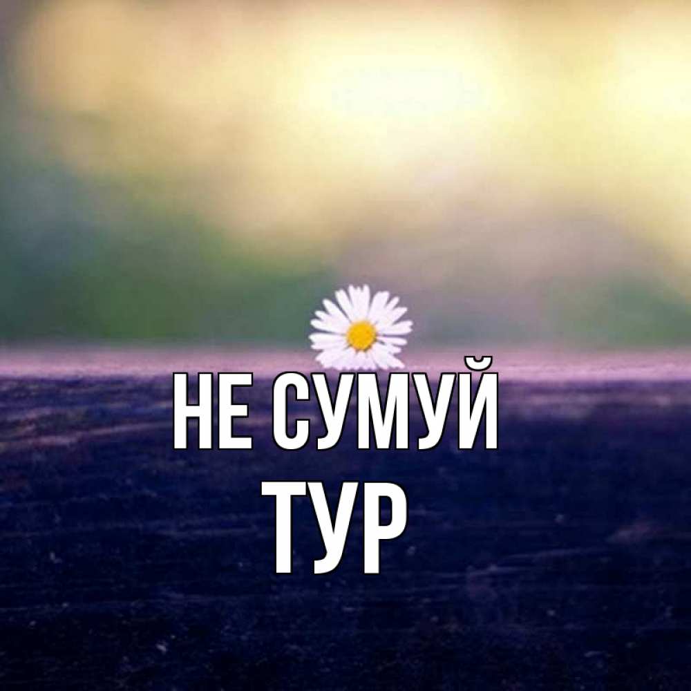 Открытка на каждый день з підписом, Тур Не сумуй красота Прикольна листівка з побажанням онлайн скачати безкоштовно 