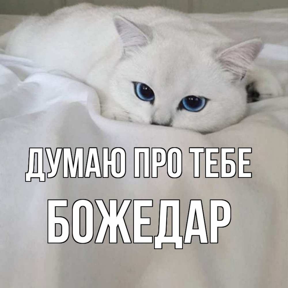 Открытка на каждый день з підписом, Божедар Думаю про тебе я очень по тебе скучаю и тоскую Прикольна листівка з побажанням онлайн скачати безкоштовно 