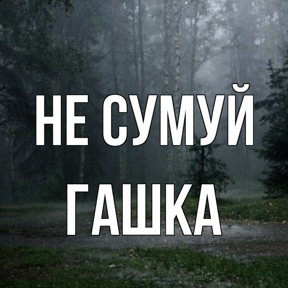 Открытка на каждый день з підписом, Гашка Не сумуй осень Прикольна листівка з побажанням онлайн скачати безкоштовно 