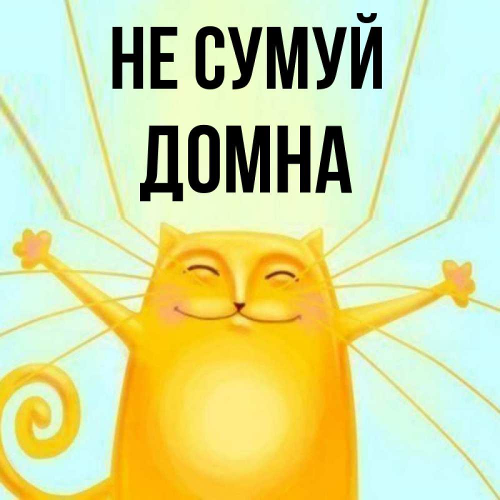 Открытка на каждый день з підписом, Домна Не сумуй обнимашки усатые Прикольна листівка з побажанням онлайн скачати безкоштовно 