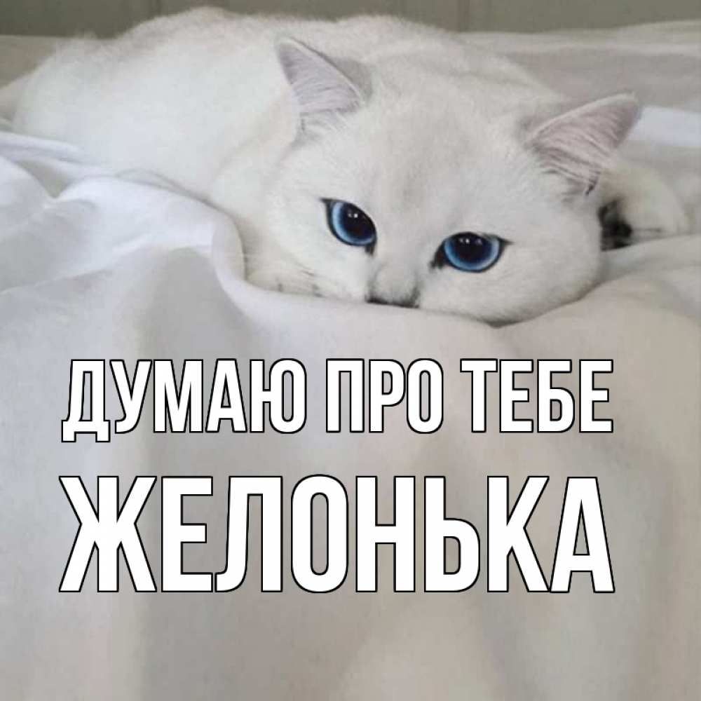 Открытка на каждый день з підписом, Желонька Думаю про тебе я очень по тебе скучаю и тоскую Прикольна листівка з побажанням онлайн скачати безкоштовно 