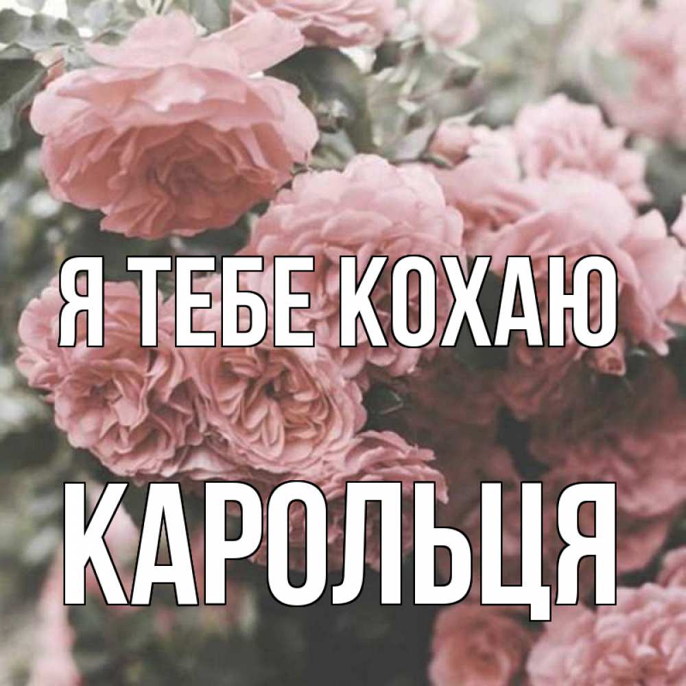 Открытка на каждый день з підписом, Карольця Я тебе кохаю розы 3 Прикольна листівка з побажанням онлайн скачати безкоштовно 