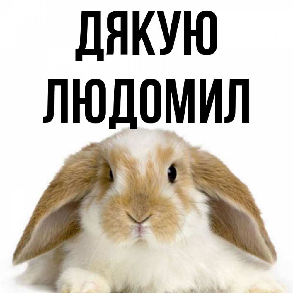Открытка на каждый день з підписом, Людомил Дякую коричнево белый заяц Прикольна листівка з побажанням онлайн скачати безкоштовно 