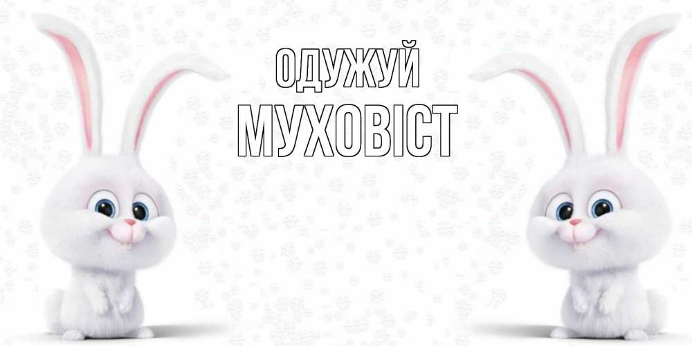 Открытка на каждый день з підписом, Муховіст Одужуй не болей с зайцем Прикольна листівка з побажанням онлайн скачати безкоштовно 