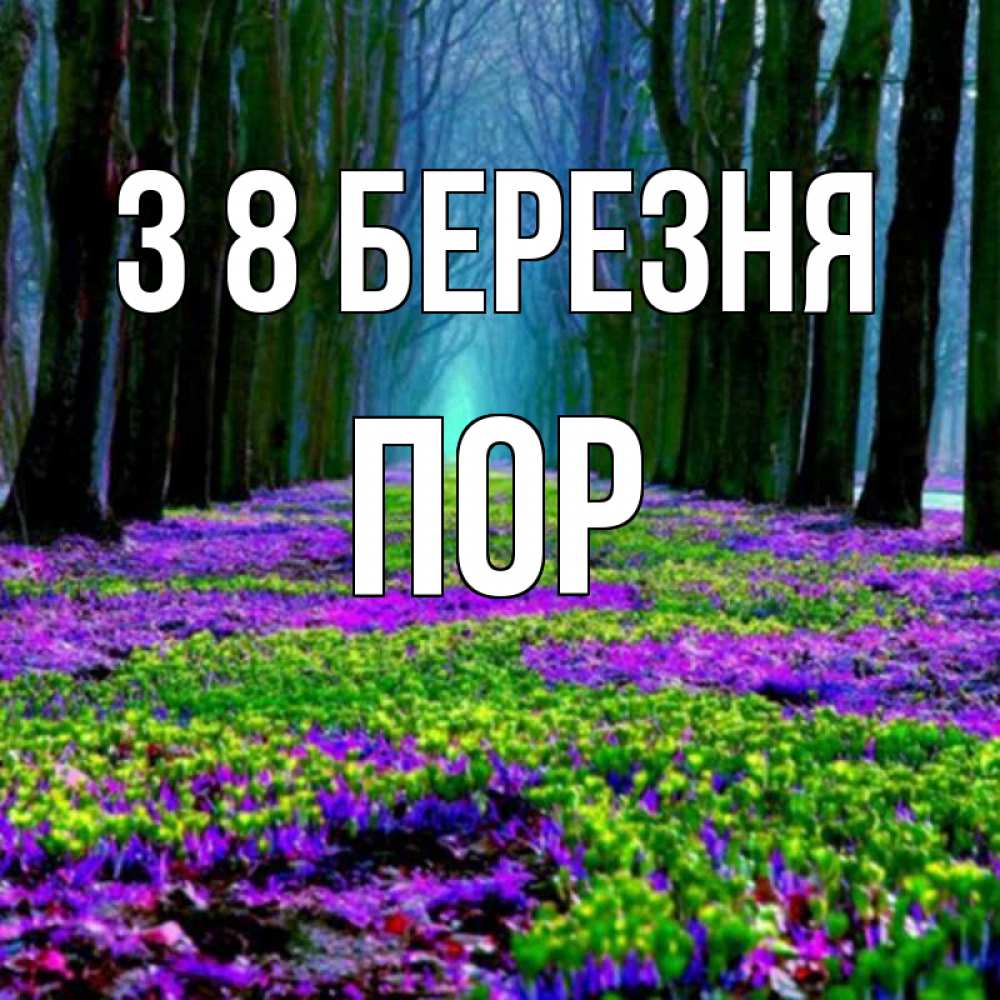 Открытка на каждый день з підписом, Пор З 8 БЕРЕЗНЯ фиолетовые цветы в лесу 1 Прикольна листівка з побажанням онлайн скачати безкоштовно 