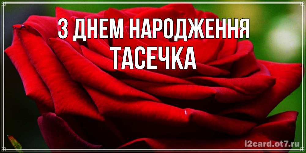 Открытка на каждый день з підписом, Тасечка З Днем народження розочка очень красивая Прикольна листівка з побажанням онлайн скачати безкоштовно 