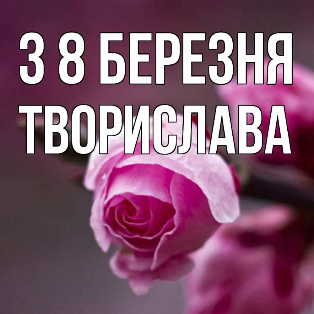 Открытка на каждый день з підписом, Творислава З 8 БЕРЕЗНЯ весна Прикольна листівка з побажанням онлайн скачати безкоштовно 