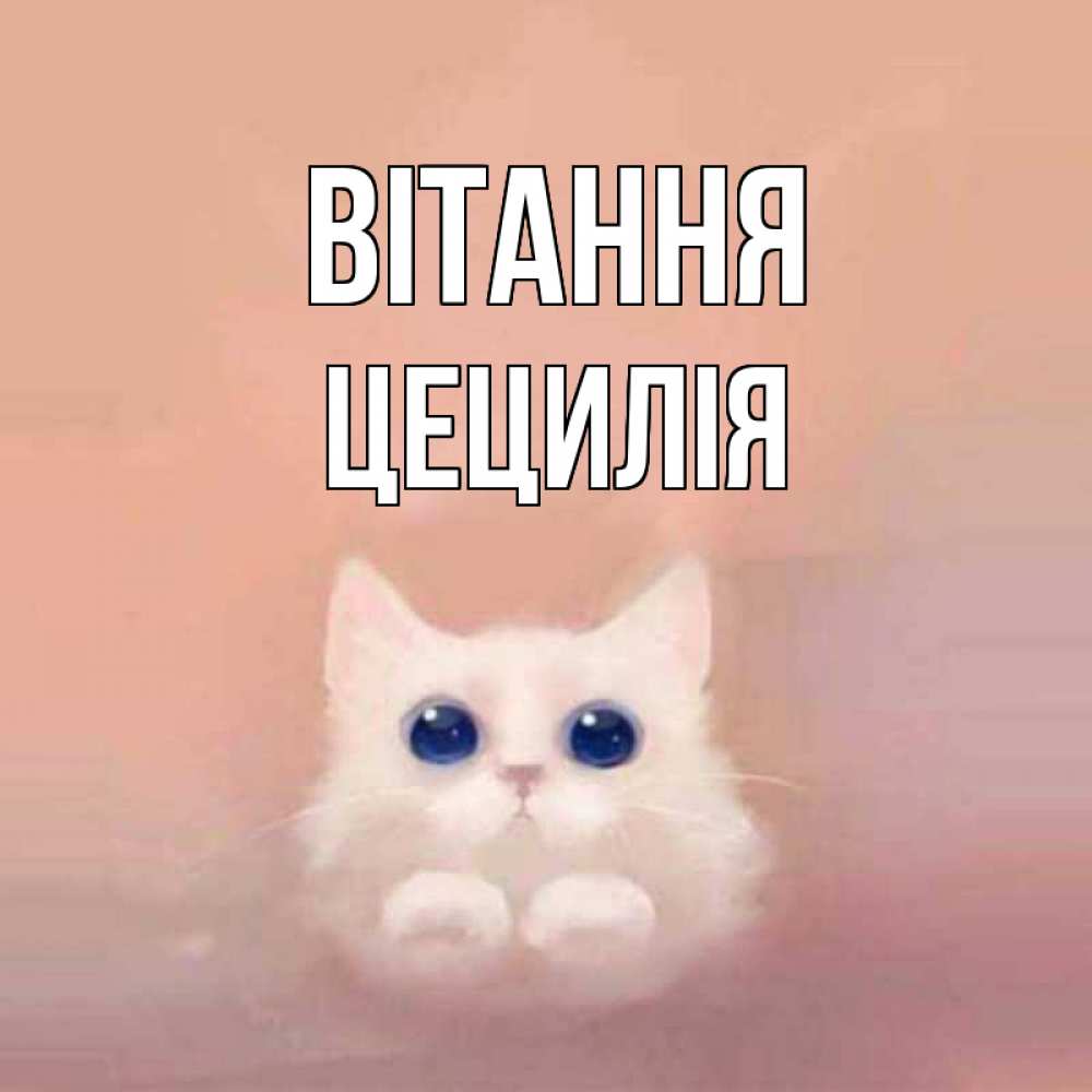 Открытка на каждый день з підписом, Цецилія Вітання котик белый в полете Прикольна листівка з побажанням онлайн скачати безкоштовно 